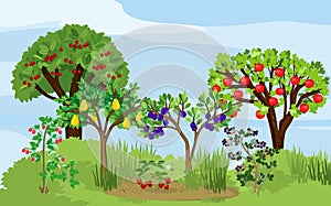 Landscape with different fruit trees and berry shrubs with ripe fruits on the branches.